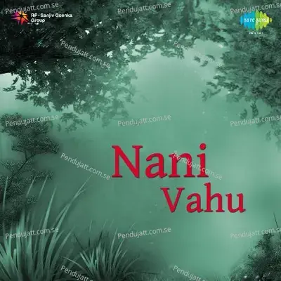 Nani Vahu - Gaurang Vyas cover album