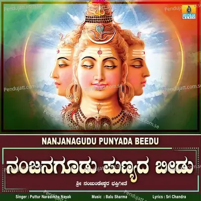 Nanjanagudu Punyada Beedu - Puttur Narasimha Nayak album cover 