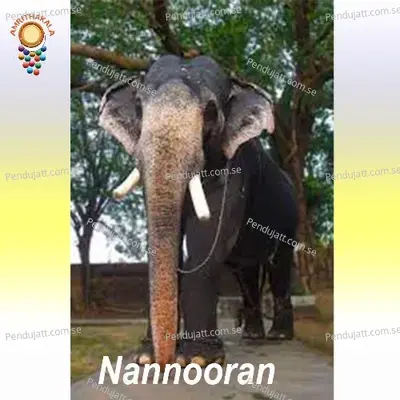 Nannooran - Manu Madhav album cover 