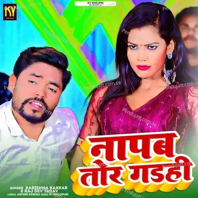 Napab Tore Garahi - Karishma Kakkar album cover 