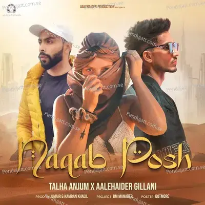 Naqab Posh - Aalehaider Gillani album cover 