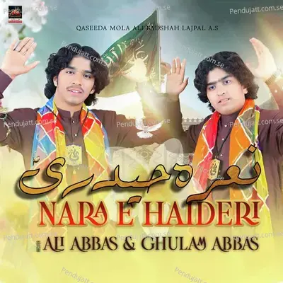 Nara E Haideri - Ali Abbas album cover 