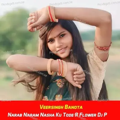 Narab Naram Nasha Ku Tode R Flower Dj P - Veersingh Banota album cover 