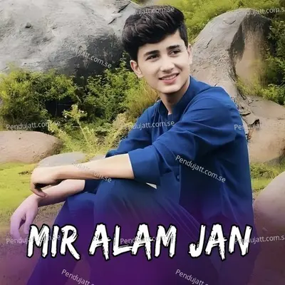 Narawa Na Guna Da - Mir Alam Jan cover album