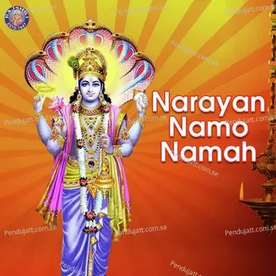 Narayan Namo Namah - Various Artists cover album