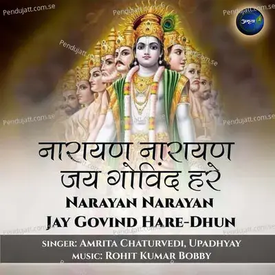 Narayan Narayan Jay Govind Hare-Dhun - Amrita Chaturvedi
