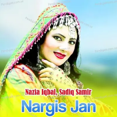 Nargis Jan - Nazia Iqbal cover album