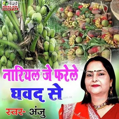 Nariyal Ge Farela Ghawad Se - Anju album cover 