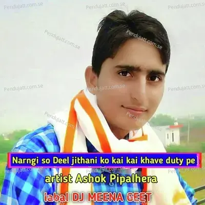 Narngi So Deel Jithani Ko Kai Kai Khave Duty Pe - Ashok Pipalhera album cover 