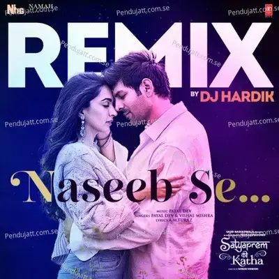 Naseeb Se Remix - Payal Dev album cover 