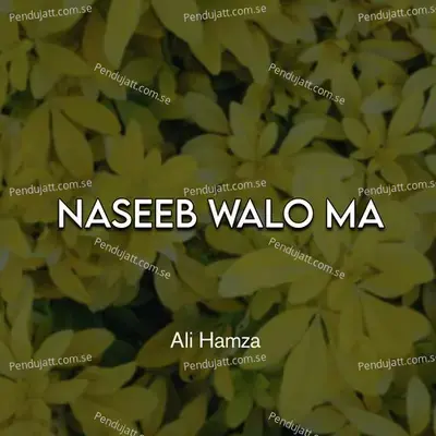 Naseeb Walo Ma - Ali Hamza album cover 