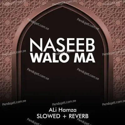 Naseeb Walo Ma Lofi - Ali Hamza album cover 