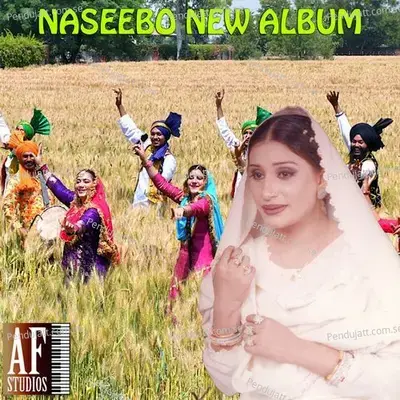 Dila Thehar Ja - Naseebo Lal album cover 