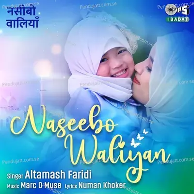 Naseebo Waliyan - Altamash Faridi album cover 