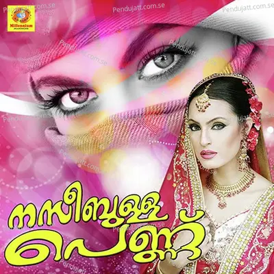 Maliku Dheenarenna - Nishad album cover 