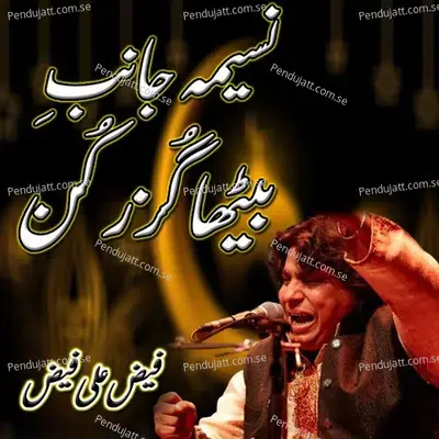 Naseema Janib E Batha Guzar Kun - Faiz Ali Faiz album cover 