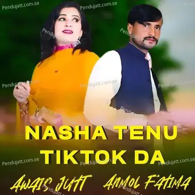 Nasha Tenu Tiktok Da - Awais Jutt album cover 