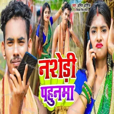 Nashedi Pahunama - Amit Ashik album cover 