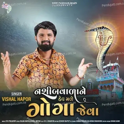 Nasib Vada Ne Dev Made Goga Jevo - Vishal Hapor album cover 