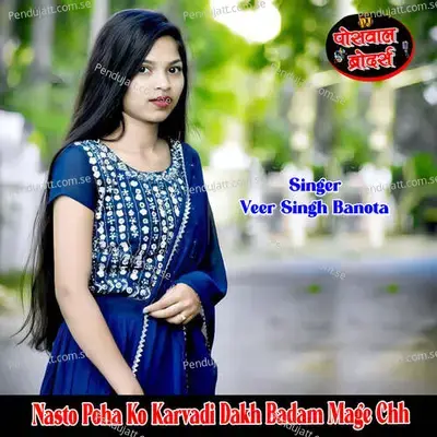 Nasto Poha Ko Karvadi Dakh Badam Mage Chh - Veer Singh banota