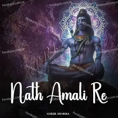 Nath Amali Re - Gokul Sharma album cover 
