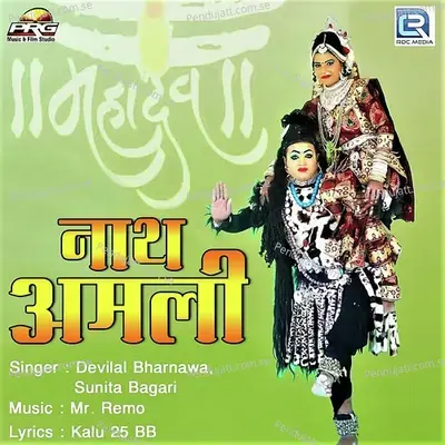 Nath Amli - Devilal Bharnawa album cover 