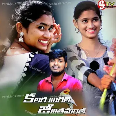 Natho Nvvu Levvu Nenu Undehelage Love Song - BALAKRISHNA VADHTHYA album cover 