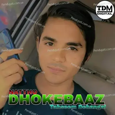 Nattho Dhokebaaz - Tahseem Dehangal album cover 