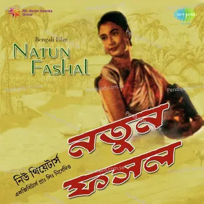 Ahare Haimaboti - Mintoo Dasgupta album cover 