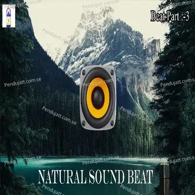 Natural Sound Beat - Harry Kumar album cover 