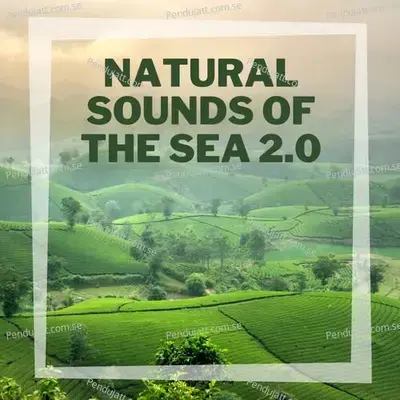Natural Sounds Of The Sea 2 0 - Lakhan Hire album cover 