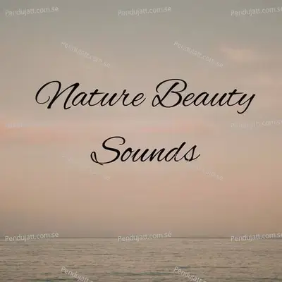 Nature Beauty Sounds - Lakhan Hire album cover 