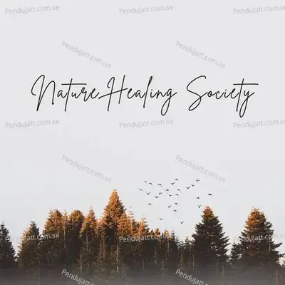 Nature Healing Society - Lakhan Hire album cover 