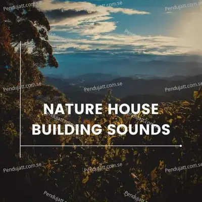 Nature House Building Sounds - Lakhan Hire album cover 