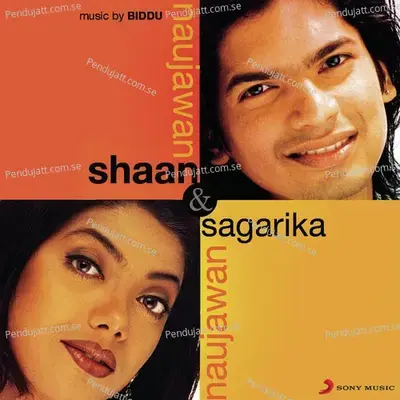 Aisa Hota Hai - Shaan album cover 