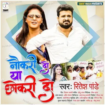 Naukari Do Ya Chhokari Do - Ritesh Pandey album cover 