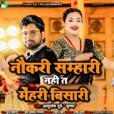 Naukari Samhari Nahi T Mehri Bisari - Ashutosh Dubey Krishna album cover 