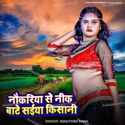 Naukariya Se Neek Bate Saiya Kisani - Ashutosh Rana album cover 