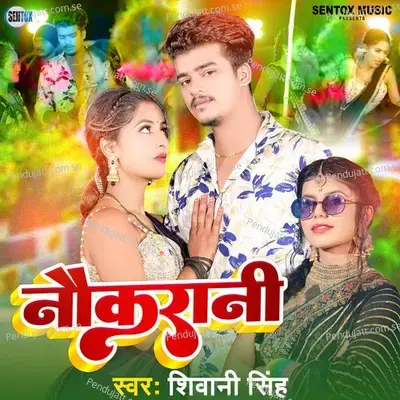 Naukrani - Shivani Singh album cover 