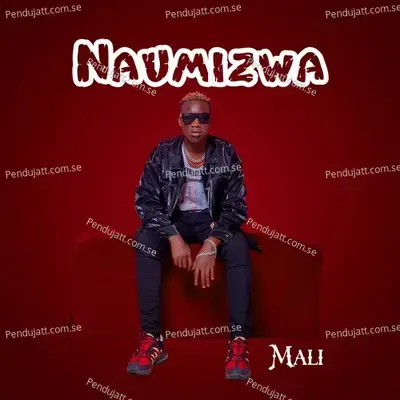 Naumizwa - Mali album cover 