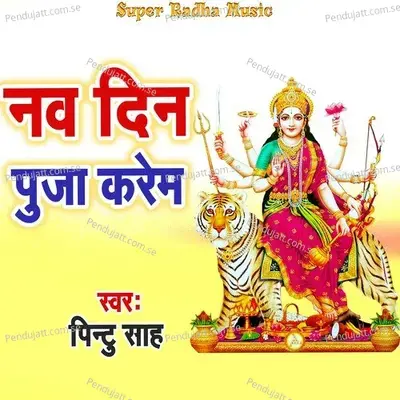 Nav Din Puja Karem - Pintu Sah album cover 