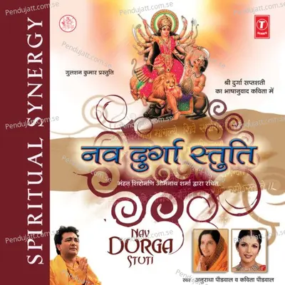 Shakti Dhyan - Anuradha Paudwal album cover 