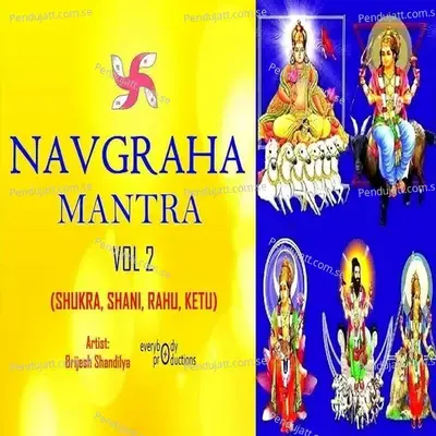 Navgraha Mantra  Vol  2  Shukra  Shani  Rahu  Ketu  - Brijesh Shandilya cover album