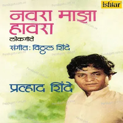 Karbharnichi Majhya Harnichi - Vitthal Shinde album cover 