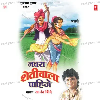 Jhaali Deewani Manglaa - Anand Shinde album cover 