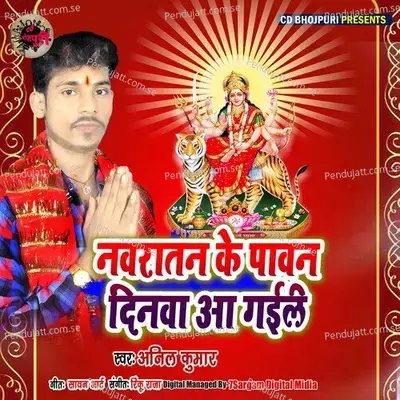 Navratan Ke Pawan Dinva Aa Gail - Anil Kumar album cover 