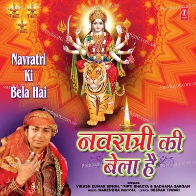 Navratri Ki Bela Hai - Tripti Shakya album cover 