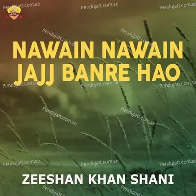 Nawain Nawain Jajj Banre Hao - Zeeshan Khan Shani cover album