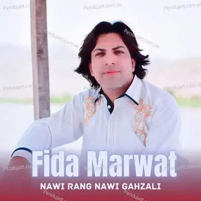 Nawi Rang Nawi Gahzali - Fida Marwat album cover 