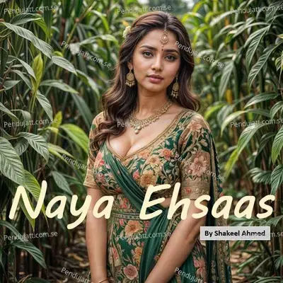 Naya Ehsaas - Shakeel Ahmed album cover 